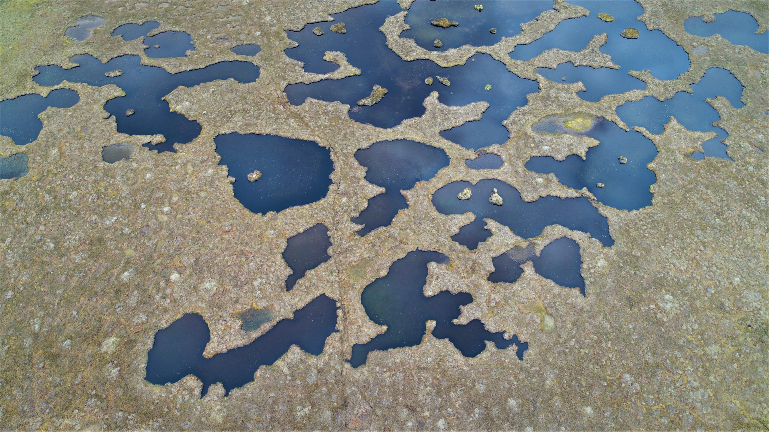 Flow country pools from above