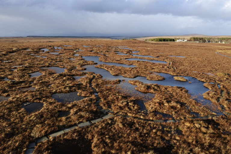 Flow country landscape pools